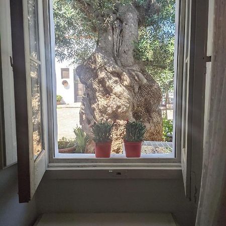 Masseria Vagone Macchia di Monte Bagian luar foto